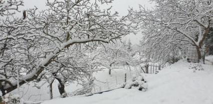 La neu deixa estampes hivernals com aquesta. Foto: Joan Sánchez.