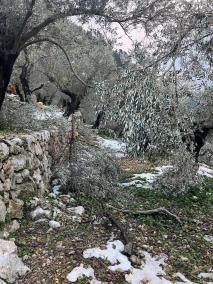 Mallorca mobilitza 6,5 milions per als municipis i persones afectades per Juliette