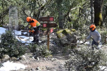 Brigades de voluntaris faran feina per obrir les rutes senderistes afectades pel temporal