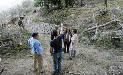 Mae de la Concha i Fernando Fernández amb els tècncis de la cooperativa a un olivar de Fornalutx.