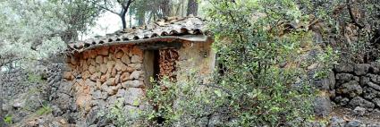 Els particulars podran recuperar els porxos tradicionals dels olivars.