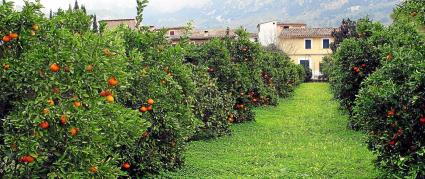 L’entitat agrícola utilitzarà altres marques.