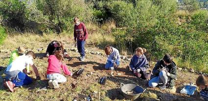 SOLLER. ARQUEOLOGIA. MÃ©s de setanta anys dâarqueologia al Puig dâen Canals. Al voltant dâun miler dâalumnes han visitat el major jaciment prehistÃ²ric de SÃ³ller on es du a terme un projecte educatiu.