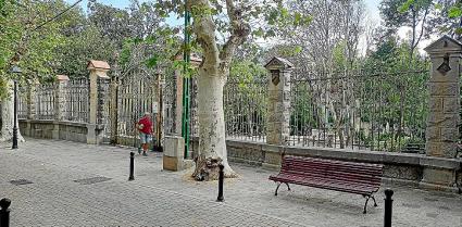 SOLLER - El Consell rebutja protegir els jardins de Can Canals.