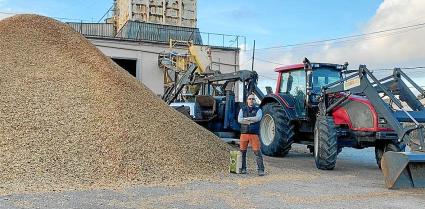 «Quant a renovables, sols s’opta per la solar»