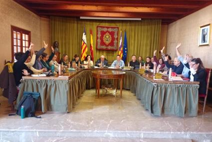 El PP es queda sol i Més, PSOE i Seny votaren en contra de l’ordenança.