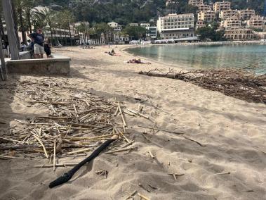 La neteja de les platges del Port, la pròxima setmana