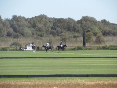 Imatge de l'activitat al camp de polo de Campos aquest mateix divendres.