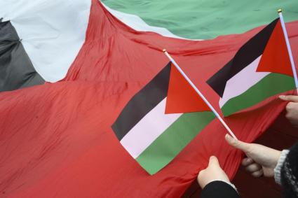 Imatge de banderes palestines durant una concentració reivindicativa.
