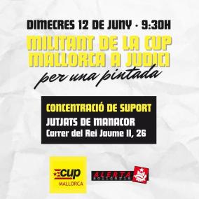 Imatge del cartell de convocatòria de la protesta.