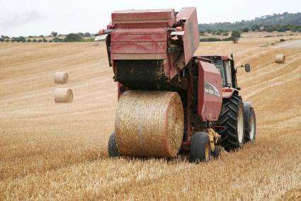 Imatge d'una màquina treballant un camp de Mallorca.