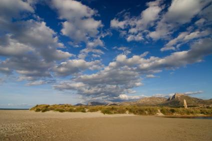 Fotografia: GOB. Sa Canova.
