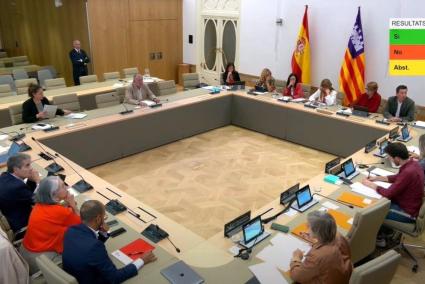 El Parlament pide un "marco ético" para el desarrollo y uso de la inteligencia artificial relacionada con menores