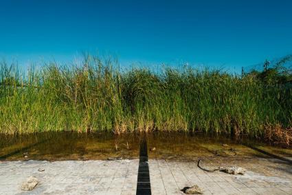 Imatge de l'exposició fotogràfica 'Temporada baixa' que es podrà visitar a Manacor.