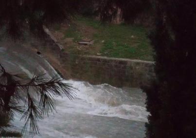 El torrent de la Riera de Palma ha arribat a acumular un gran cabal d'aigua.