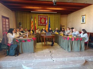 El ple extraordinari celebrat dimecres.