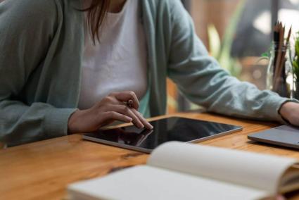 Els PQI estan adreçats a alumnes que no tenen prou maduresa per a poder cursar amb garanties un cicle formatiu de formació professional bàsica.