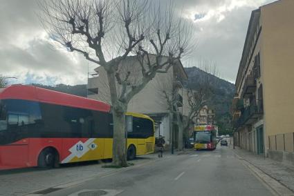 Per Mateu "obvia qüestions tan rellevants com la gratuïtat del transport públic"