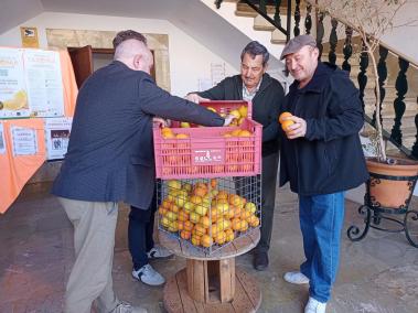 Moment en que es col·loquen les taronges i llimones a la caixa.