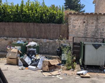 Quantitat de cartons i fems acumulats als contenidors prop de l’Hotel Minister.