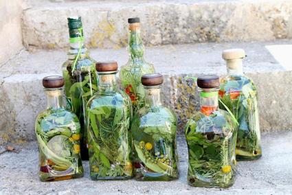 Les herbes mallorquines han estat motiu d'una publicació divulgativa.