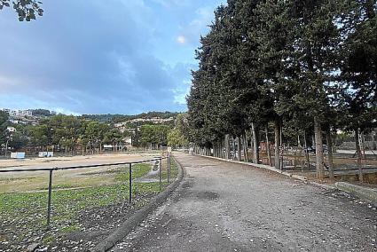 PORT DE SOLLER. Els veÃ¯nats del Port dubten que lÂ¿Ajuntament faci res a lÂ¿Infante Lois.