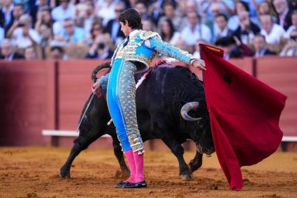 La tortura dels toros ha tornat a les places de Mallorca de la mà de PP i Vox.