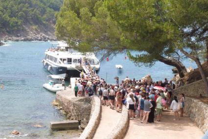 El GOB denuncia que a Cala Tuent «hi mana el turisme»