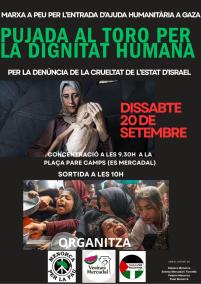 Cartell de la pujada al Toro de Menorca en defensa de Palestina.