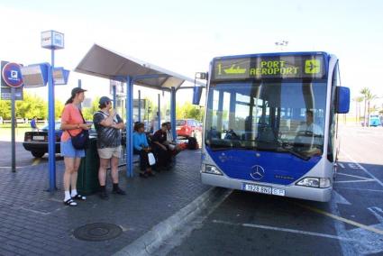 El conseller de Territori, Energia i Mobilitat, Marc Pons, ha explicat aquest dimarts la intenció del Govern de que l'aeroport de Palma compti amb connexions directes de transport públic.