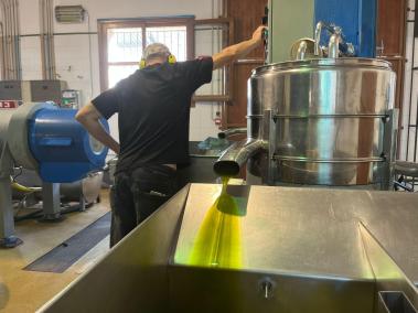 La Cooperativa de Sóller comença a produir oli