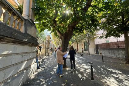 Aquesta setmana s’ha rodat a diferents espais ubicats a la Gran Via de Sóller.