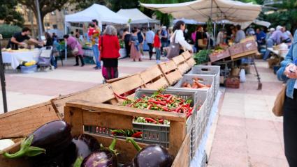 El Mercat Ecològic de Palma ha celebrat aquest dissabte els seus 15 anys de vida amb una festa reivindicativa.