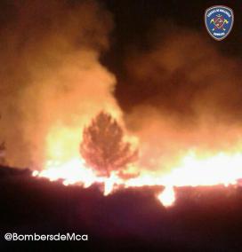 Incendi forestal a Miner Petit, al costat de Pollença