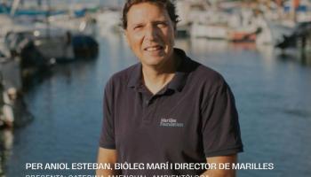 ‘El canvi climàtic i els seus impactes a la mar balear’