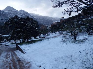 La nevada cobreix la Serra però demà es recupera la normalitat a les escoles