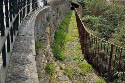 El GOB demana frenar el projecte del torrent Major