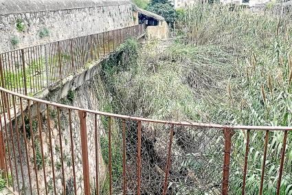 SOLLER - LâÃÃ´Ajuntament compra per 100.000 euros els terrenys per fer la passarelÂ¬â'la.