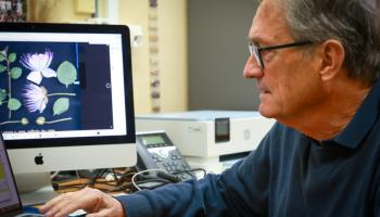 L'Herbari Virtual del Mediterrani Occidental compleix 25 anys