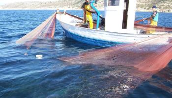 El Govern ha defensat que qualsevol innovació en matèria pesquera es faci «garantint la seguretat de la flota i respectant la sostenibilitat dels recursos marins».