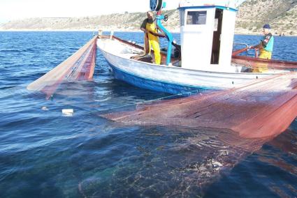 El Govern ha defensat que qualsevol innovació en matèria pesquera es faci «garantint la seguretat de la flota i respectant la sostenibilitat dels recursos marins».