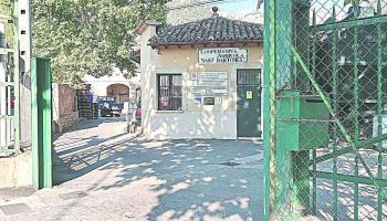 Impuls de l’oli ecològic a la Cooperativa de Sóller