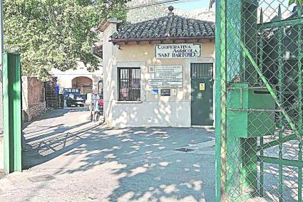 SOLLER - La Cooperativa tindrÃ una tafona ecolÃ²gica.
Les obres, que ja estan en marxa, es perllongaran durant el mes dâagost