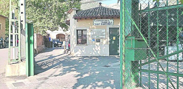 SOLLER - La Cooperativa tindrÃ una tafona ecolÃ²gica.
Les obres, que ja estan en marxa, es perllongaran durant el mes dâagost