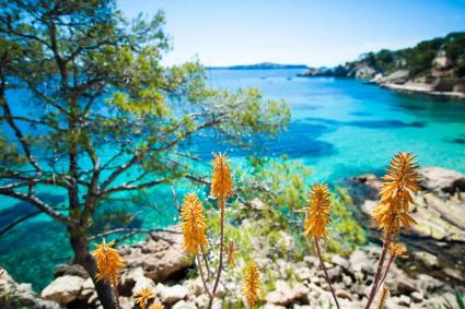 Calvià ha estat nominada per la prestigiosa revista Viatges National Geographic als Premis dels Lectors.