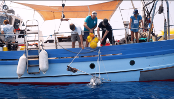 15 anys d’accions per la defensa del medi marí