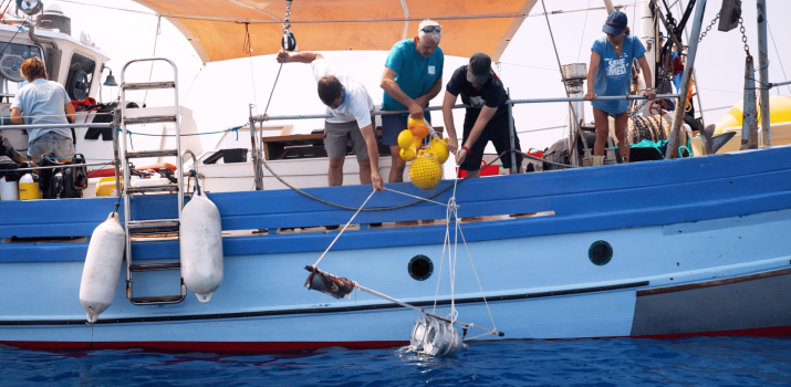 15 anys d’accions per la defensa del medi marí