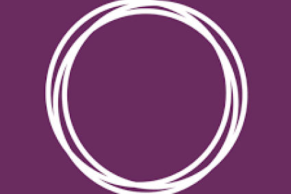 Podem ha retornat els 22.900 euros dels microcrèdits per finançar la campanya