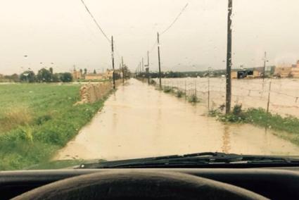 Imatge del temporal al Pla de Sant Jordi.