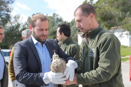 Alliberen falcons que foren ferits per tirs de bala.
